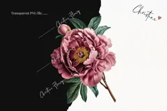 Vintage Peony Clipart | Flower PNG Product Image 2