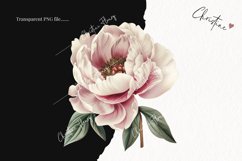 Vintage Peony Clipart | Flower PNG Product Image 2