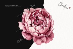 Vintage Peony Clipart | Flower PNG Product Image 2