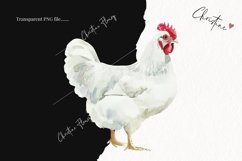 Watercolor Chickens | Farmhouse PNG Product Image 2