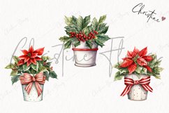 Watercolor Poinsettia Plant Clipart | Christmas Clipart Product Image 3