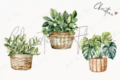 Watercolor House Plants Clipart | House Clipart Product Image 3