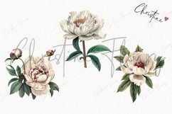 Vintage Peony Clipart | Flower PNG Product Image 3