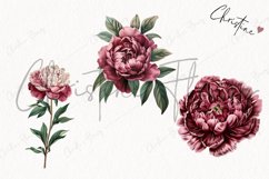 Vintage Peony Clipart | Flower PNG Product Image 3