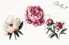 Vintage Peony Clipart | Flower PNG Product Image 3