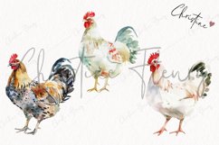 Watercolor Chickens | Farmhouse PNG Product Image 3