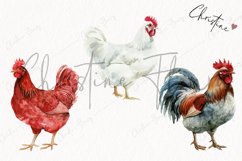 Watercolor Chickens | Farmhouse PNG Product Image 3