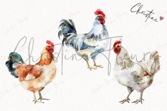Watercolor Chickens | Farmhouse PNG Product Image 3