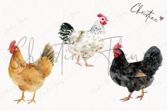 Watercolor Chickens | Farmhouse PNG Product Image 3