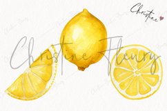 Lemons PNG | Fruit PNG Product Image 3