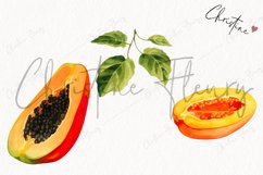 Papayas PNG | Fruit PNG Product Image 3