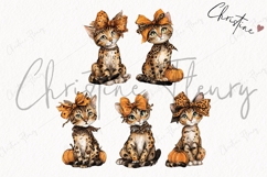Fall Kitten Clipart Bundle Product Image 5