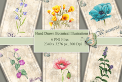 Vintage Style Botanical Cards Product Image 1