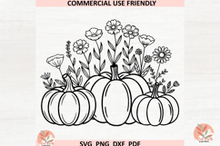 Floral Pumpkins in pumpkin patch svg, fall farmhouse pumpkin Product Image 3