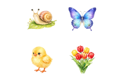Cute Watercolor Spring Animal Clipart Product Image 3