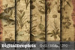 Vintage Fauna | 12x12 Scrapbook Papers Product Image 1