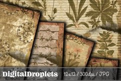 Vintage Fauna | 12x12 Scrapbook Papers Product Image 7