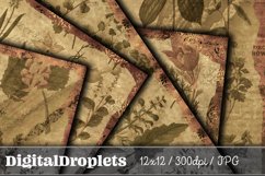 Vintage Fauna | 12x12 Scrapbook Papers Product Image 3