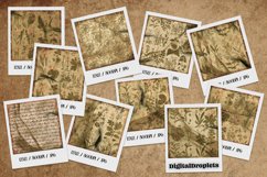 Vintage Fauna | 12x12 Scrapbook Papers Product Image 2