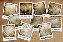 Antique Damask Prints | 12x12 Scrapbook Papers Product Image 8