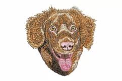 Nova Scotia Duck Tolling Retriever Embroidery Design Product Image 1