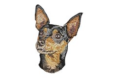 Miniature Pinscher Embroidery Design Product Image 1