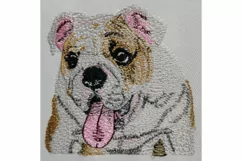 English Bulldog embroidery file - Dog gifts Product Image 2