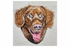 Nova Scotia Duck Tolling Retriever Embroidery Design Product Image 2
