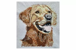 Golden Retriever embroidery file - Dog gifts Product Image 2
