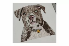 American Bully Puppy embroidery file - Dog gifts Product Image 3