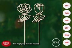 Rose &amp; Rose bud for valentine's day Product Image 1