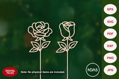 Rose &amp; Rose bud for valentine's day Product Image 2