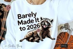 New Year Funny Raccoon PNG - 4 Designs Product Image 5