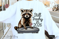 New Year Funny Raccoon PNG - 4 Designs Product Image 2