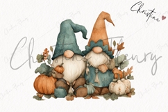 Teal Fall Gnomes Clipart Bundle Product Image 5