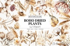 Boho Dried Plants Clipart | Boho PNG Product Image 1