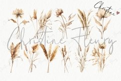 Boho Dried Plants Clipart | Boho PNG Product Image 4