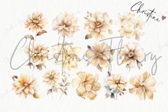 Boho Dried Plants Clipart | Boho PNG Product Image 6