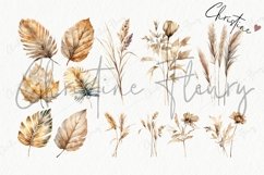 Boho Dried Plants Clipart | Boho PNG Product Image 7