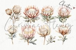 Boho Dried Plants Clipart | Boho PNG Product Image 8