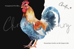 Watercolor Chicken Clipart | Farmhouse PNG Product Image 3