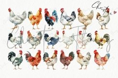 Watercolor Chicken Clipart | Farmhouse PNG Product Image 4
