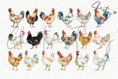 Watercolor Chicken Clipart | Farmhouse PNG Product Image 6