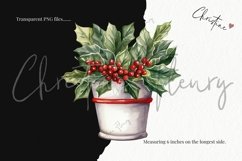 Watercolor Christmas Plant Clipart Product Image 3