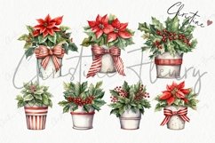 Watercolor Christmas Plant Clipart Product Image 4