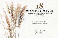 Watercolor Pampass Grass Clipart Product Image 2