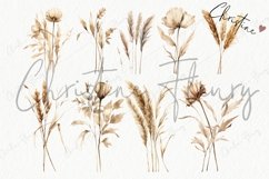 Watercolor Pampass Grass Clipart Product Image 4