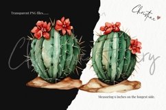 Watercolor Festive Cactus Clipart | Christmas PNG Product Image 3