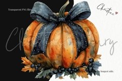 Watercolor Grungy Pumpkins &amp; Bows Clipart | Fall PNG Product Image 3