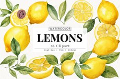 Watercolor Lemons Clipart | Summer PNG Product Image 1